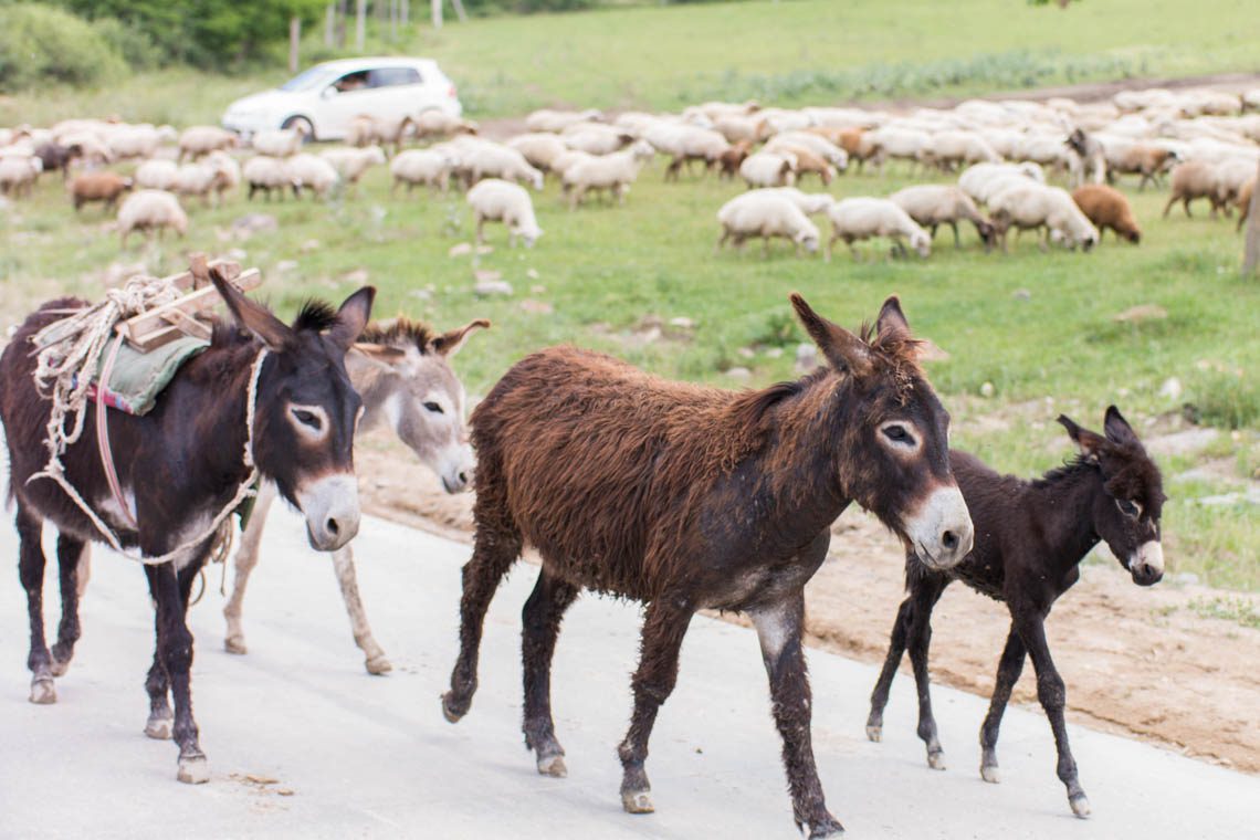 Abenteuer Mietwagen in Georgien und Armenien