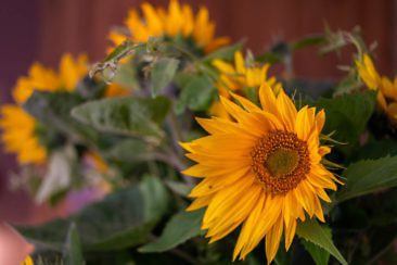 Besondere Ausflugsziele im Fläming
