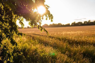 Besondere Ausflugsziele im Fläming