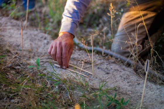 Besondere Ausflugsziele im Fläming
