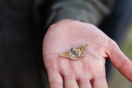Besondere Ausflugsziele im Fläming