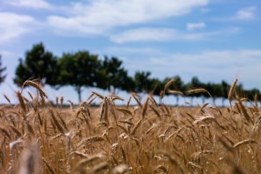 Besondere Ausflugsziele im Fläming