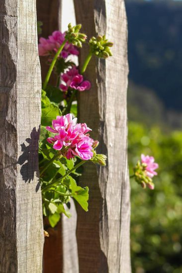 Schieferdörfer Mittelportugals - Cerdeira