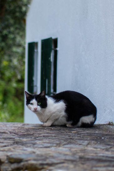 Schieferdörfer Mittelportugals - Cerdeira