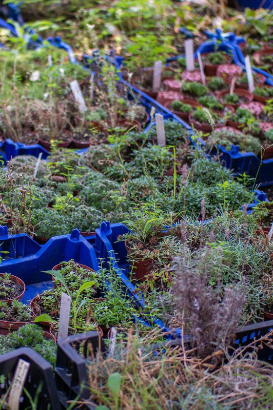 5 besondere Ausflugstipps für Lindau am Bodensee