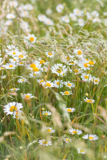 Aktivurlaub in Luxemburg