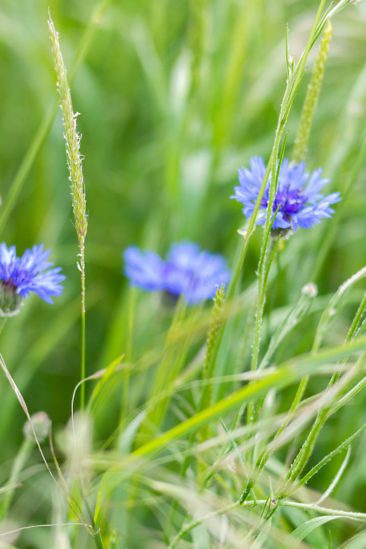 Aktivurlaub in Luxemburg