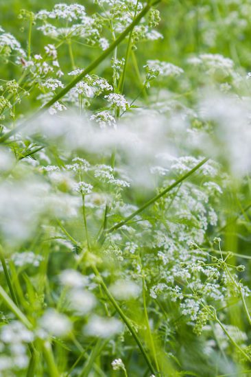 Aktivurlaub in Luxemburg