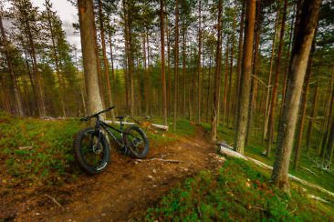 Indian Summer in Lappland - Aktivurlaub im herbstlichen Lappland - Mountainbiken im Hossa Nationalpark