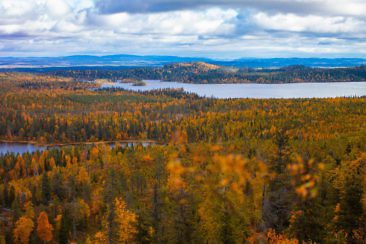 Indian Summer in Lappland - Aktivurlaub im herbstlichen Lappland - Konttainen Hill