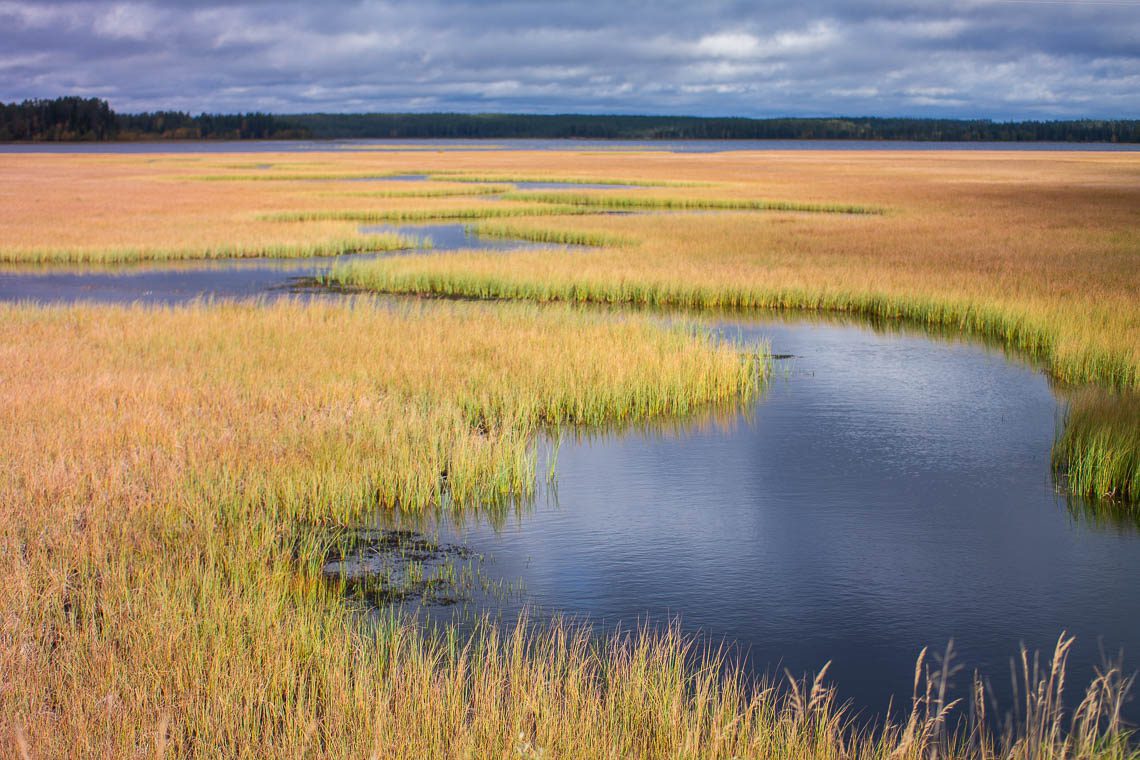 Indian Summer in Lappland