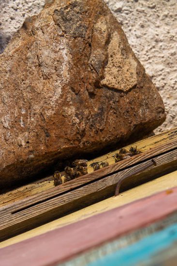 Griechenland Geheimtipp: Gastfreundschaft & nachhaltiger Tourismus auf der Insel Lipsi