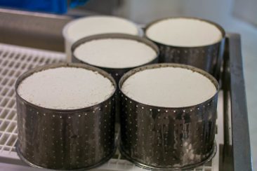 Griechenland Geheimtipp: Gastfreundschaft & nachhaltiger Tourismus auf der Insel Lipsi