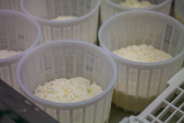 Griechenland Geheimtipp: Gastfreundschaft & nachhaltiger Tourismus auf der Insel Lipsi