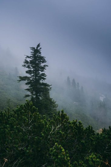 Wanderparadies Grüner Karst Ausflugsziele & Tipps für Sloweniens Süden