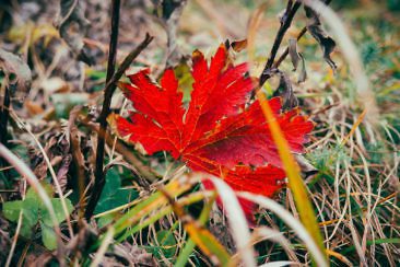 Wanderparadies Grüner Karst Ausflugsziele & Tipps für Sloweniens Süden