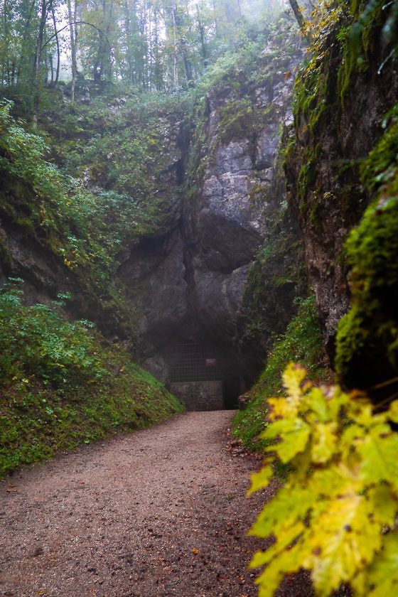 Wanderparadies Grüner Karst: Ausflugsziele & Tipps für Sloweniens Süden