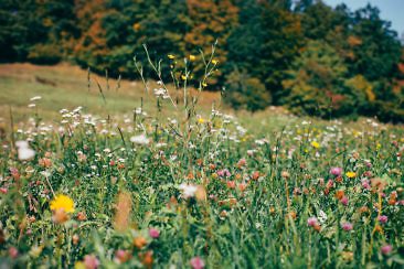 Wanderparadies Grüner Karst Ausflugsziele & Tipps für Sloweniens Süden