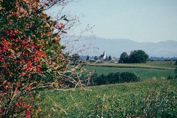 Wanderparadies Grüner Karst Ausflugsziele & Tipps für Sloweniens Süden