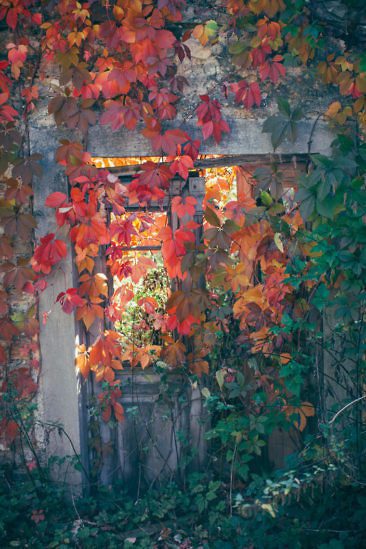 Wanderparadies Grüner Karst Ausflugsziele & Tipps für Sloweniens Süden