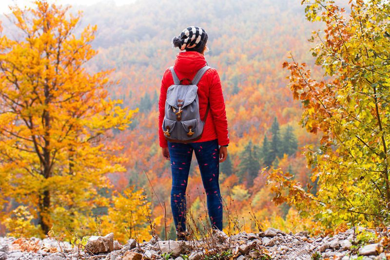 Wanderparadies Grüner Karst Ausflugsziele & Tipps für Sloweniens Süden