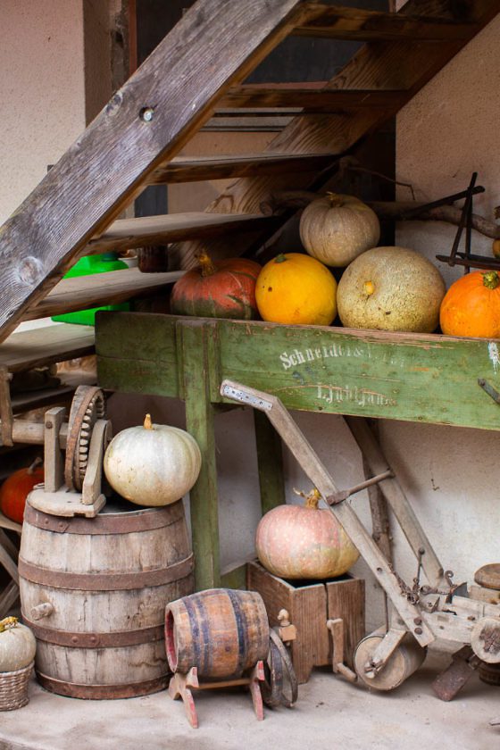 Wanderparadies Grüner Karst Ausflugsziele & Tipps für Sloweniens Süden
