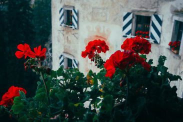 Wanderparadies Grüner Karst Ausflugsziele & Tipps für Sloweniens Süden