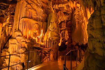 Wanderparadies Grüner Karst: Ausflugsziele & Tipps für Sloweniens Süden