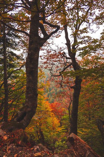 Wanderparadies Grüner Karst Ausflugsziele & Tipps für Sloweniens Süden