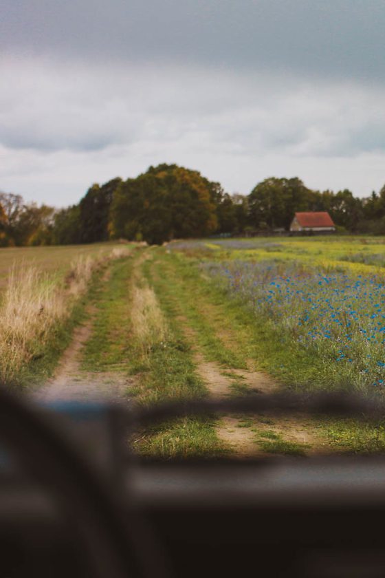 Usedom Geheimtipp Naturnaher & nachhaltiger Urlaub auf der Halbinsel Gnitz