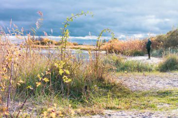 Usedom Geheimtipp Naturnaher & nachhaltiger Urlaub auf der Halbinsel Gnitz