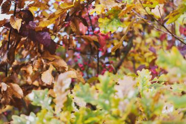 Usedom Geheimtipp Naturnaher & nachhaltiger Urlaub auf der Halbinsel Gnitz
