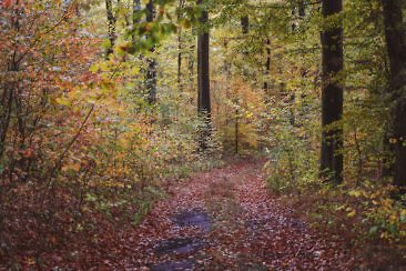Usedom Geheimtipp Naturnaher & nachhaltiger Urlaub auf der Halbinsel Gnitz