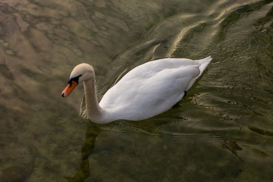Roadtrip entlang der schönsten Adventmärkte im Salzkammergut
