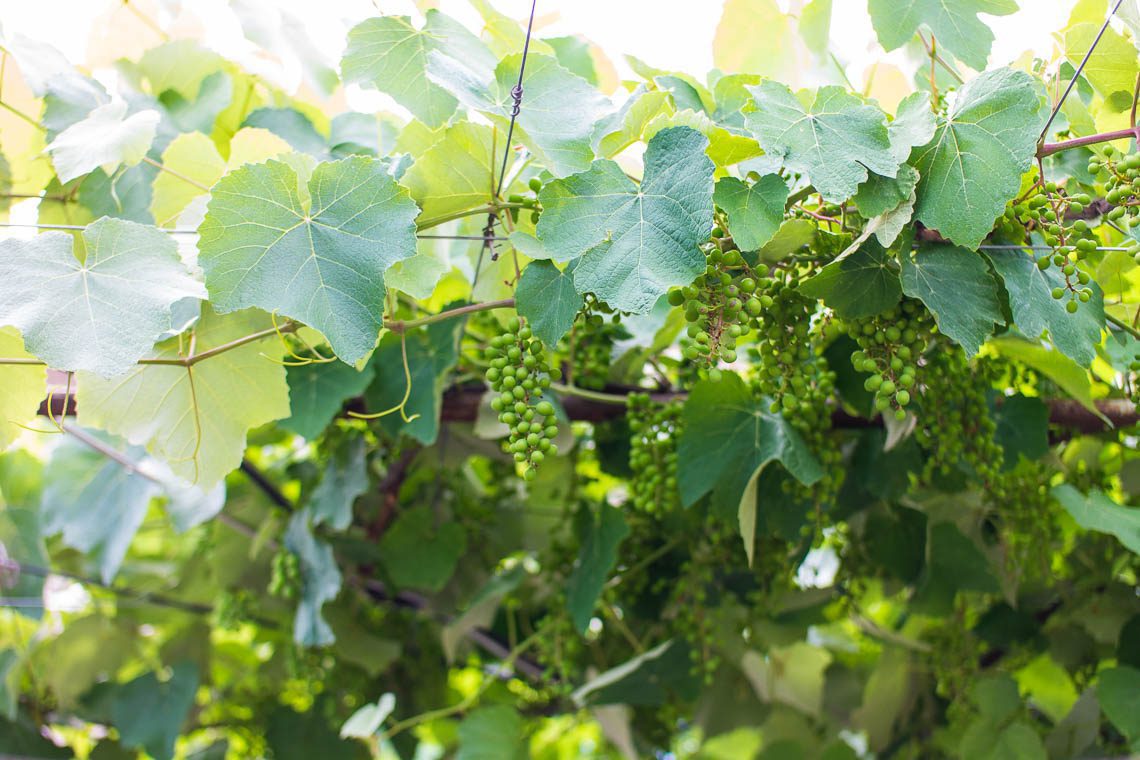 Armenien & Georgien Roadtrip (1)