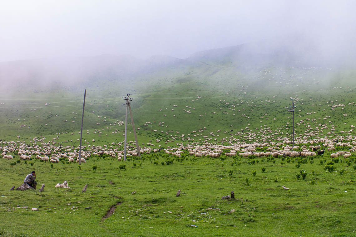 Georgien & Armenien Roadtrip
