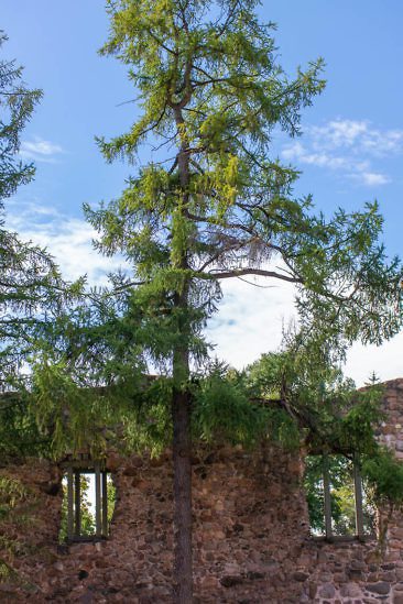 Roadtrip Lettland & Estland Auf den Spuren vergessener Hansestädte