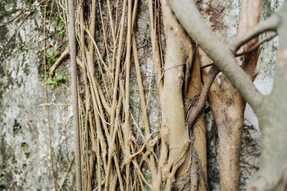 Rundreise Malaysia: Route & Reisevorbereitung für 2 Wochen