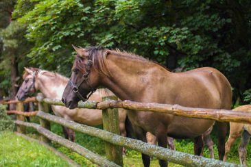 Polen Rundreise in 1 Woche