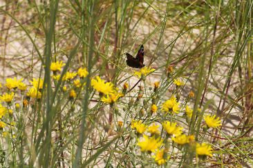 Slowinski Nationalpark
