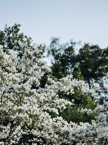 Aktiv am Chiemsee: Besondere Ausflugsziele & Naturerlebnisse