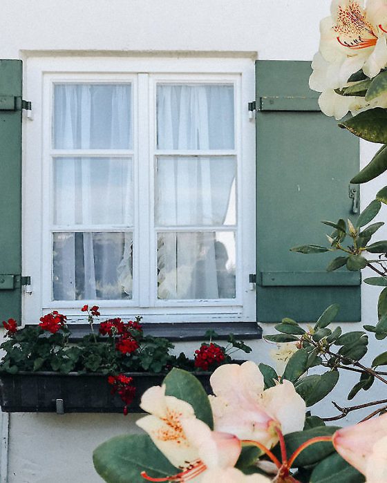 Chiemsee Aktivitäten- Besondere Naturerlebnisse & Ausflugsziele-34