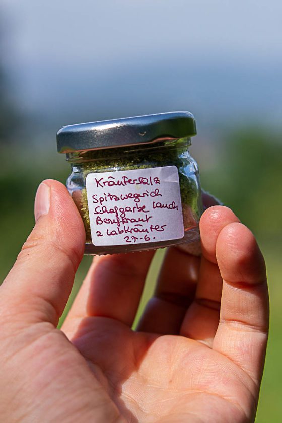 Wandern in Kärnten - Kräuterwanderung am Faaker See