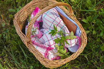 Wandern in Kärnten mal anders - Kräuterwanderung