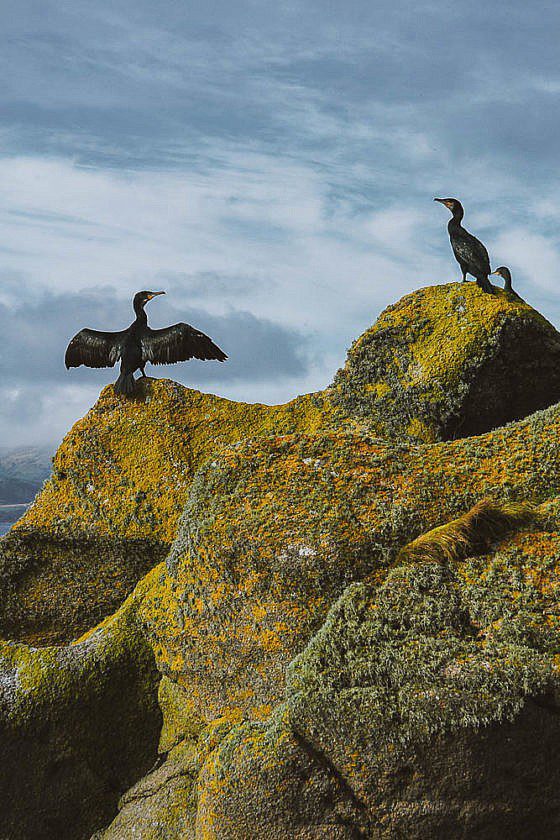 Isle of Arran Sehenswürdigkeiten