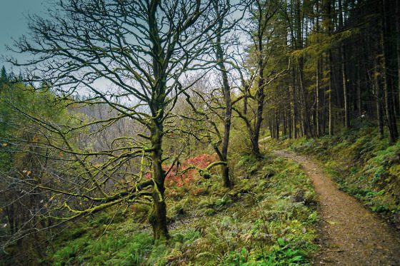 Isle of Arran - Glenashdale Falls Wanderung