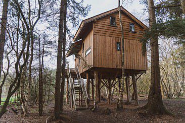 Naturhäuschen in Holland Der Traum vom Baumhaus in Drenthe