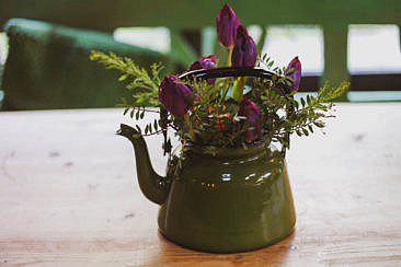 Theehuis Anserdennen