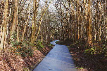 Nationalpark Dwingerveld