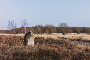 Nationalpark Dwingerveld